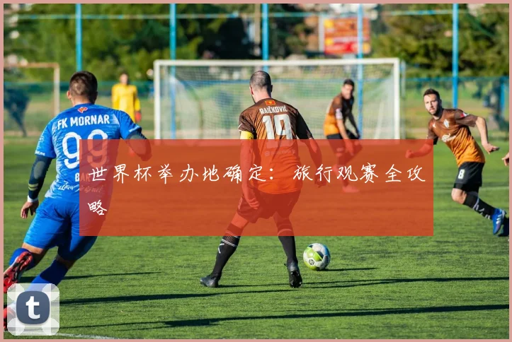 世界杯举办地确定：旅行观赛全攻略