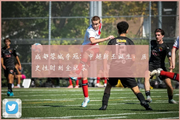 成都蓉城夺冠:中超新王诞生,历史性时刻全记录
